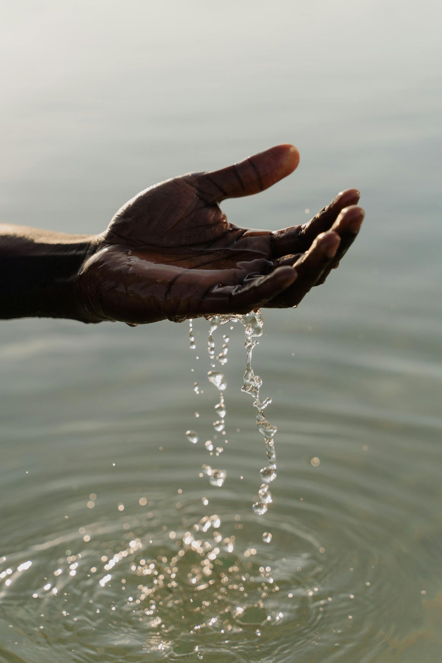 Hydration vs. Moisture: Understanding What Your Skin Truly Needs