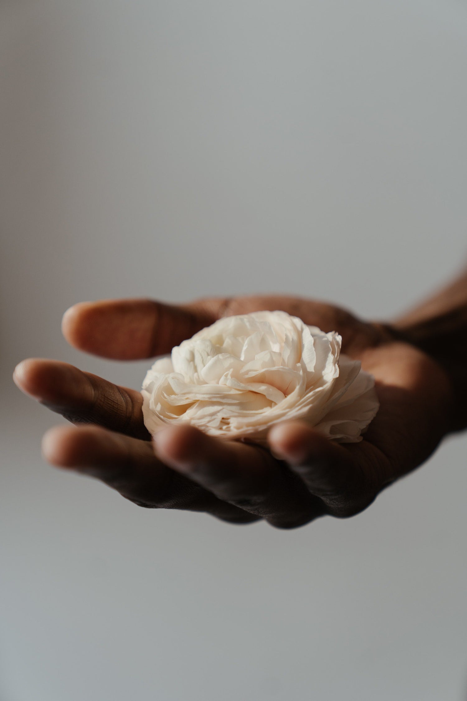 Embracing Mindful Beauty: The Art of a Minimalistic Skincare Ritual