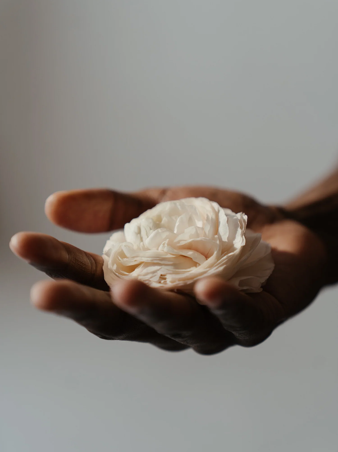 Embracing Mindful Beauty: The Art of a Minimalistic Skincare Ritual
